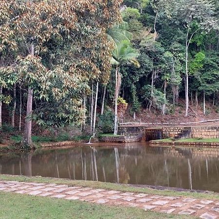 דומינגוס מרטינס Cabanas Eco Das Montanhas מראה חיצוני תמונה