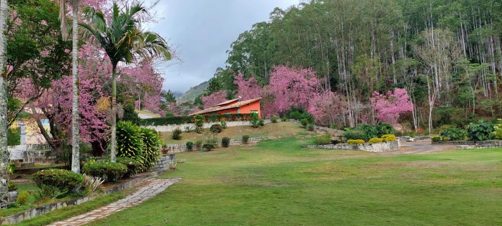 דומינגוס מרטינס Cabanas Eco Das Montanhas מראה חיצוני תמונה